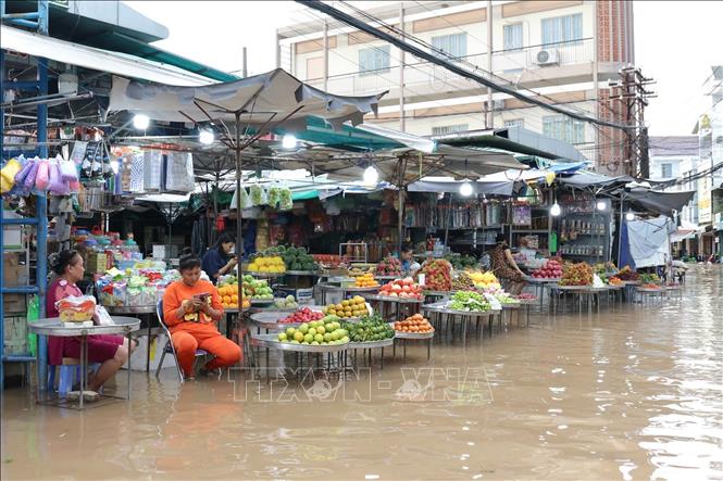  Khu vực chợ Bình Thủy, phường Bình Thủy (Cần Thơ) chìm trong biển nước do triều cường dâng cao. Ảnh: TTXVN 