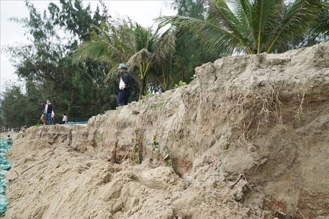  Sóng biển, triều cường liên tục đánh úp khiến bờ biển Mỹ Khê bị sạt lở nghiêm trọng. Ảnh: Phạm Cường-TTXVN