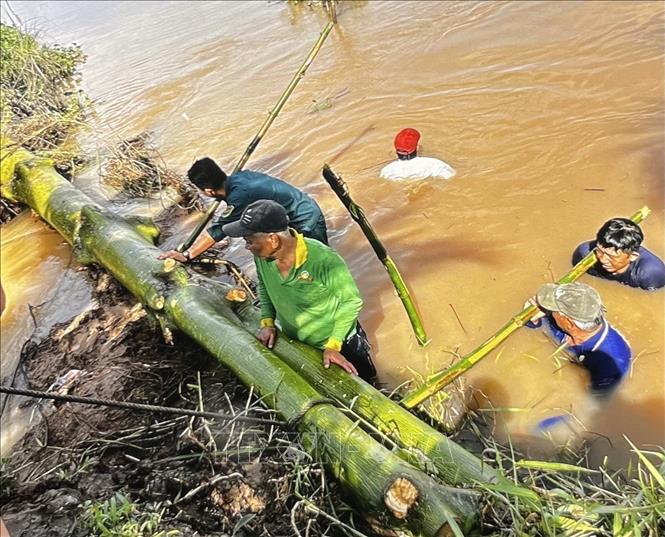  Tận dụng vật liệu tại chỗ để làm bờ bao ngăn nước mưa và triều cường tràn vào vườn cây ăn trái tại xã Phú Hựu,  Đồng Tháp. Ảnh: Hồng Nhung - TTXVN