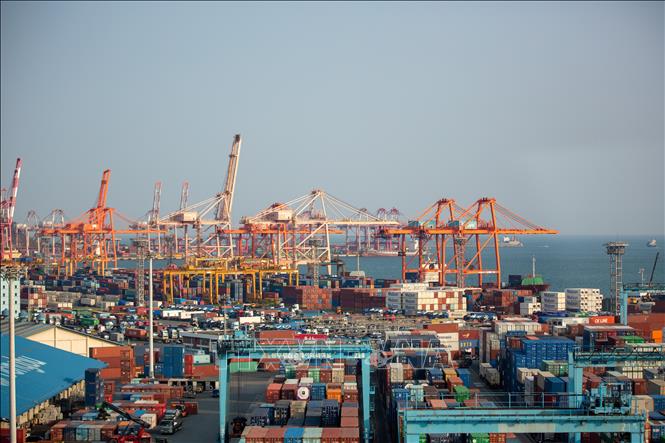 Ngày 29/10/2025, Chánh Thư ký về Chính sách thuộc Phủ Tổng thống Hàn Quốc Kim Yong Beom thông báo nước này và Mỹ đã nhất trí duy trì thuế đối ứng ở mức 15% theo một thỏa thuận thương mại sơ bộ đạt được giữa hai bên trong năm nay. Bên cạnh đó, Seoul và Washington cũng thống nhất giảm mức thuế quan đối với ô tô và linh kiện ô tô từ 25% xuống mức 15%. Ảnh: Cảng hàng hóa Busan, Hàn Quốc. Ảnh: THX/TTXVN 