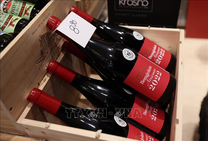 Chủ tịch Ủy ban châu Âu (EC) Ursula von der Leyen ngày 13/3/2025 tuyên bố Liên minh châu Âu (EU) sẵn sàng đàm phán với Mỹ về vấn đề gia tăng thuế quan giữa hai siêu cường kinh tế. Trước đó cùng ngày, Tổng thống Mỹ Donald Trump cảnh báo sẽ áp thuế 200% đối với rượu vang, sâm panh và các đồ uống có cồn khác từ các nước EU, nếu như khối này không dỡ bỏ mức thuế đánh vào rượu whisky của Mỹ. Ảnh: Rượu vang được bày bán tại cửa hàng ở Paris, Pháp. Ảnh: THX/TTXVN 