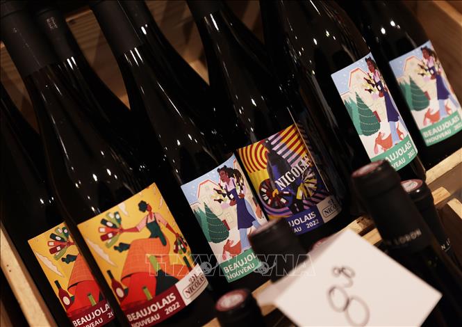 Chủ tịch Ủy ban châu Âu (EC) Ursula von der Leyen ngày 13/3/2025 tuyên bố Liên minh châu Âu (EU) sẵn sàng đàm phán với Mỹ về vấn đề gia tăng thuế quan giữa hai siêu cường kinh tế. Trước đó cùng ngày, Tổng thống Mỹ Donald Trump cảnh báo sẽ áp thuế 200% đối với rượu vang, sâm panh và các đồ uống có cồn khác từ các nước EU, nếu như khối này không dỡ bỏ mức thuế đánh vào rượu whisky của Mỹ. Ảnh: Rượu vang được bày bán tại cửa hàng ở Paris, Pháp. Ảnh: THX/TTXVN