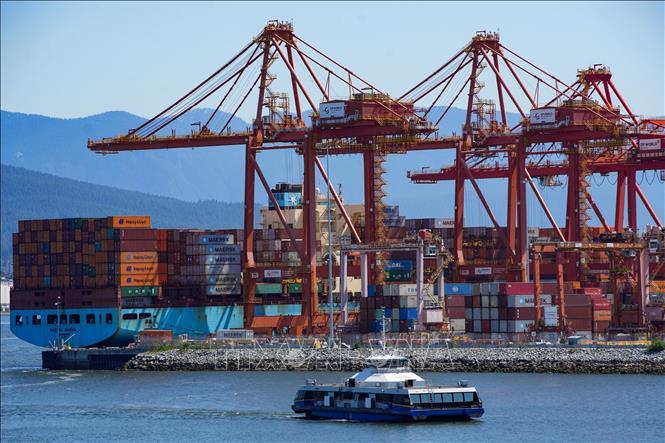 Các công ty toàn cầu đã ghi nhận mức thiệt hại hơn 35 tỷ USD từ các khoản thuế quan của Mỹ khi bước vào mùa báo cáo lợi nhuận quý III/2025. Kết quả phân tích hàng trăm báo cáo và cuộc họp báo cáo lợi nhuận từ ngày 16/7 - 30/9 cho thấy các công ty dự kiến tổng thiệt hại tài chính từ 21 tỷ - 22,9 tỷ USD cho năm 2025, và gần 15 tỷ USD cho năm sau. Ảnh: Cảng hàng hóa tại Vancouver, Canada. Ảnh: THX/TTXVN