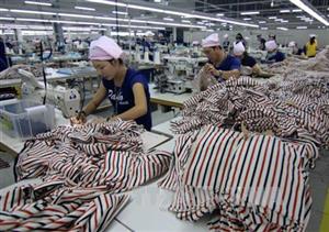 Tp. Hồ Chí Minh hỗ trợ tìm việc cho gần 3.000 công nhân sắp mất việc