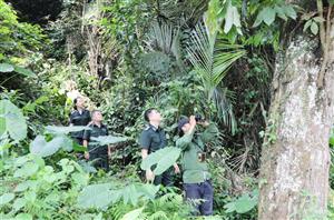 Nâng cao hiệu quả quản lý Khu Dự trữ thiên nhiên Thần Sa – Phượng  Hoàng