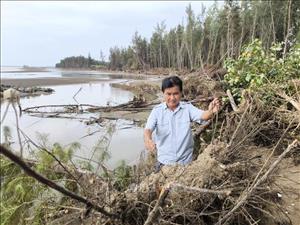Hơn 9 km bờ biển Vĩnh Long bị sạt lở nghiêm trọng