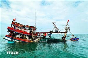 Cà Mau: Cứu hộ tàu cá và 13 ngư dân va phải đá ngầm trên biển