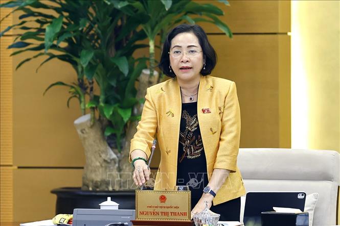 Phó Chủ tịch Quốc hội Nguyễn Thị Thanh phát biểu. Ảnh: Doãn Tấn - TTXVN
