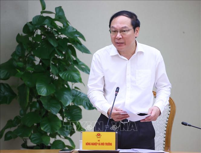 Deputy Minister of Agriculture and Environment Le Cong Thanh speaks at the meeting. VNA Photo: Văn Điệp