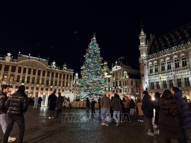 Quảng trường Lớn với cây thông Noel cao 20m được trang hoàng lộng lẫy trở thành điểm nhấn của mùa lễ hội. Ảnh: Hương Giang - PV TTXVN tại Bỉ