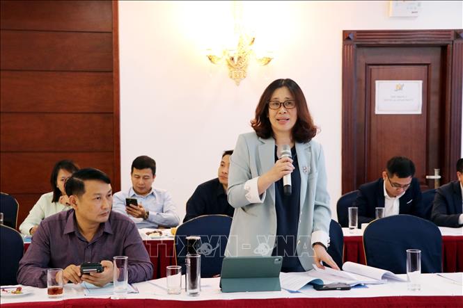 A representative from the Health Ministry speaks at the seminar. VNA Photo: Mạnh Tú 