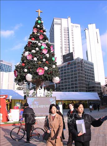 Cây thông Noel ở quảng trường Tòa Thị chính Seoul. Ảnh Khánh Vân - TTXVN tại Hàn Quốc
