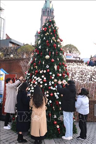 Người dân Hàn Quốc có phong tục gắn các điều ước lên cây thông Noel để cầu mong những điều tốt đẹp trong năm mới sắp đến. Ảnh Khánh Vân - TTXVN tại Hàn Quốc
