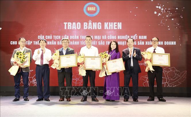 Các cá nhân có thành tích xuất sắc trong năm 2025 được nhận bằng khen. Ảnh: Đỗ Huyền - TTXVN