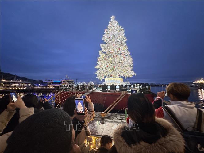 Khách tham quan tập trung ghi lại khoảnh khắc cây thông Noel khổng lồ trên vịnh Hakodate lên đèn. Ảnh: Nguyễn Tuyến – Pv TTXVN tại Nhật Bản