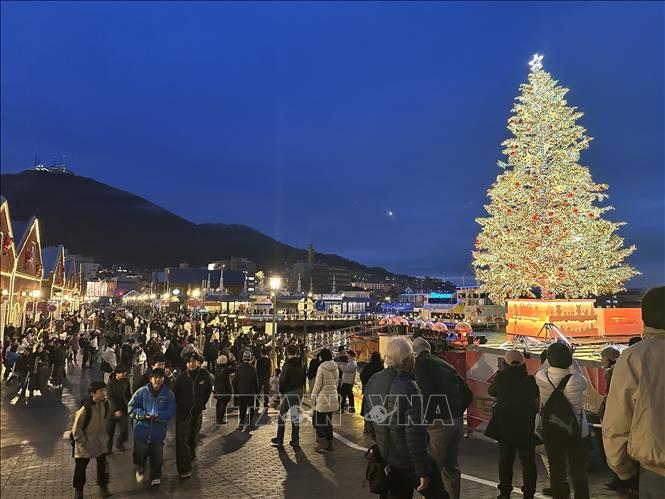 Lễ hội Giáng sinh Hakodate Christmas Fantasy là sự kiện mùa đông nổi bật thu hút đông đảo khách tham quan. Ảnh: Nguyễn Tuyến – Pv TTXVN tại Nhật Bản