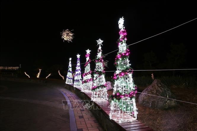 Đường cây thông được thắp sáng trong dịp Giáng sinh ở lễ hội Tình yêu Biển mùa đông Daecheon 2025. Ảnh Khánh Vân - PV TTXVN tại Hàn Quốc