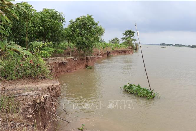 Vụ sạt lở ở ấp An Bình, xã An Mỹ Hưng đã 