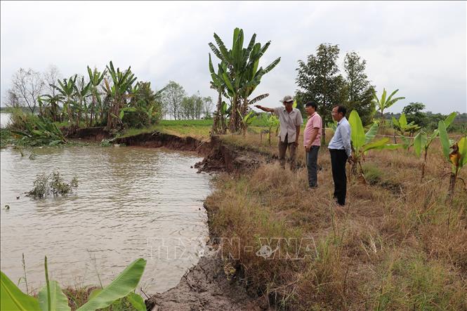 Lãnh đạo UBND xã Mỹ An Hưng kiểm tra hiện trường sạt lở bờ sông Tiền ở ấp An Bình. Ảnh: Hữu Chí - TTXVN