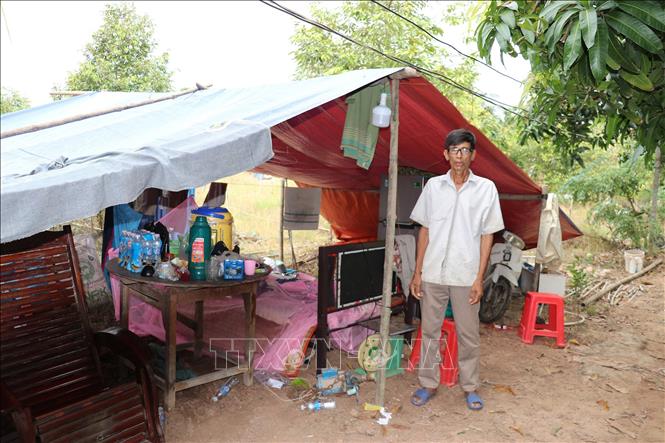 Ông Võ Đông Nhựt, ấp An Bình, xã Mỹ An Hưng dựng nơi ở tạm, sau khi ngôi nhà cùng vườn cây ăn trái của gia đình ông bị lở xuống sông. Ảnh: Hữu Chí - TTXVN