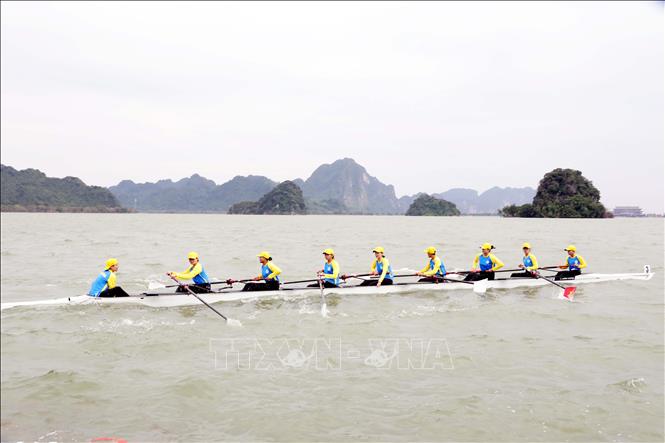 Các vận động viên thi đấu các nội dung Canoeing và Kayak thi đấu thuyền đơn, thuyền đôi tại giải.  Ảnh: Đại Nghĩa - TTXVN