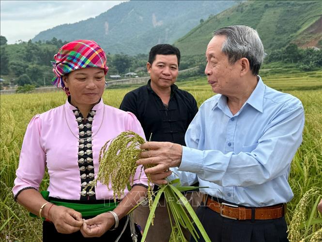 Giáo sư, Viện sĩ Trần Đình Long giới thiệu giống lúa mới cho đồng bào dân tộc. Ảnh: Thanh Hương - TTXVN