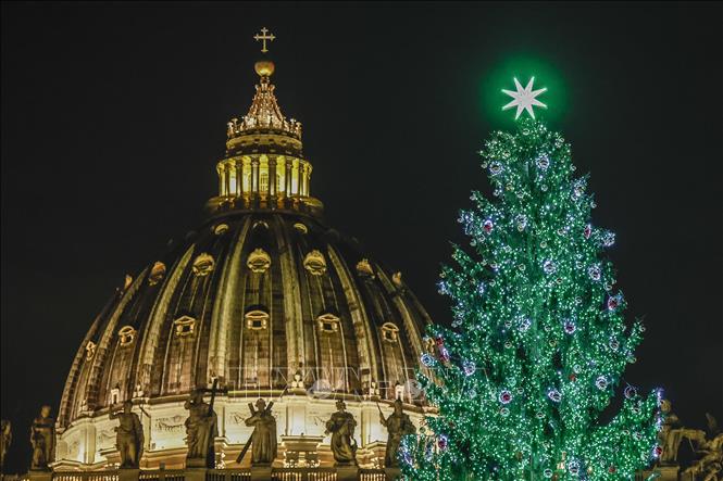 Cây thông Noel được thắp sáng tại quảng trường Thánh Peter, Vatican. Ảnh: AA/TTXVN