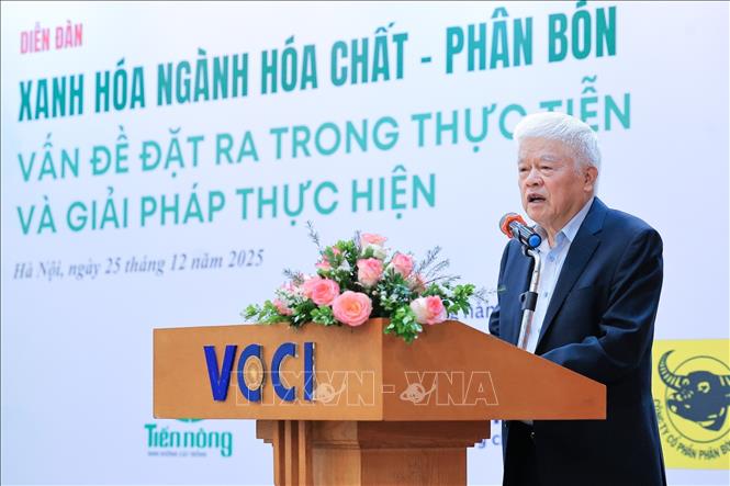 Ông Nguyễn Trí Ngọc, Phó Chủ tịch Thường trực Hiệp hội Phân bón Việt Nam chia sẻ tại diễn đàn. Ảnh: Lê Đông - TTXVN