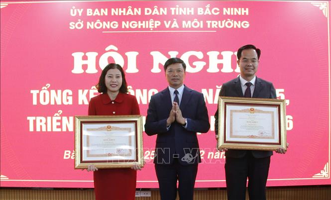 Phó Chủ tịch UBND tỉnh Bắc Ninh Đào Quang Khải trao Bằng khen của Thủ tướng chính phủ cho các cá nhân. Ảnh: Đồng Thúy- TTXVN
