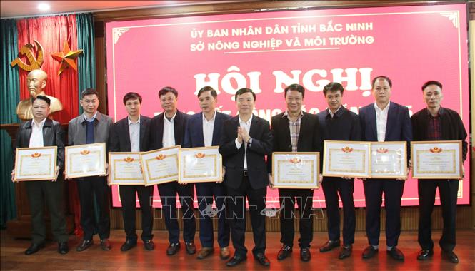 Giám đốc Sở Nông nghiệp và Môi trường tỉnh Bắc Ninh Dương Thanh Tùng trao giấy khen cho các tập thể, cá nhân. Ảnh: Đồng Thúy- TTXVN