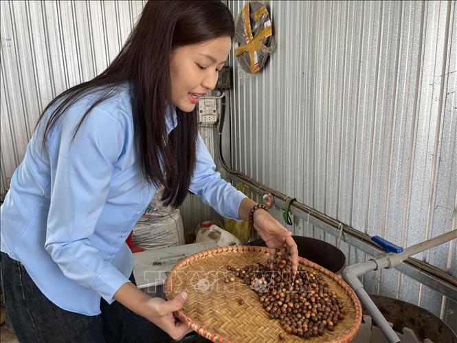 Chị Nguyễn Thị Kiều Trang là người đầu tiên tại ấp Mai Vàng nghĩ ra và hoàn thiện quy trình sản xuất các sản phẩm thủ công từ gỗ thân cây mai vàng. Ảnh: Đức Hạnh - TTXVN 