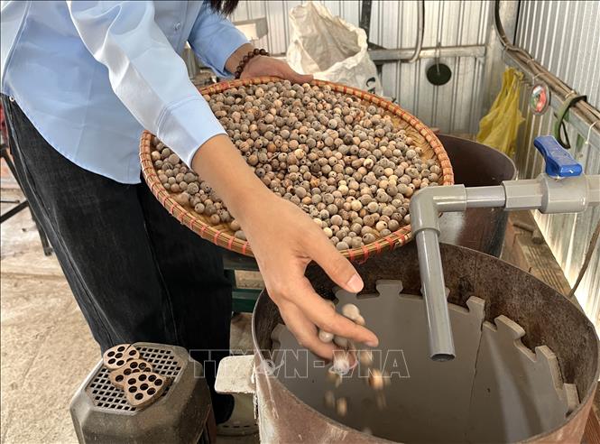 Công đoạn cho hạt đã tiện vào đánh bóng. Ảnh: Đức Hạnh - TTXVN 