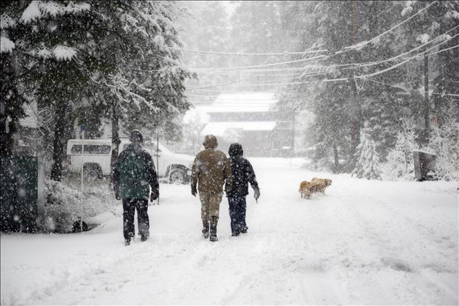 Một cơn bão mùa Đông mạnh đã tràn qua bang California của Mỹ vào ngày 24/12/2025, mang theo mưa lớn và gió giật mạnh, gây sạt lở bùn đất. Trong khi đó, ở phía Bắc bang, mưa lớn và tuyết dày gây điều kiện thời tiết nguy hiểm. Trong ảnh: Tuyết rơi dày đặc tại California, Mỹ. Ảnh: AA/TTXVN