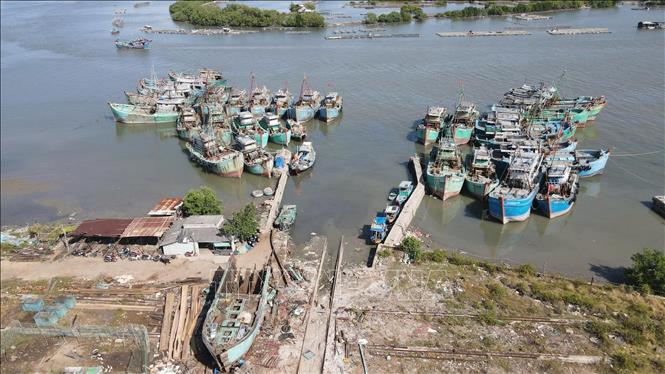 Tàu không đủ điều kiện được xã Phước Hải bố trí neo đậu tại ụ tàu Lứa Bạn cắt cử Ban điều hành ấp trông coi để quản lý chặt chẽ không cho ra khơi xuất bến. Ảnh: Hoàng Nhị - TTXVN