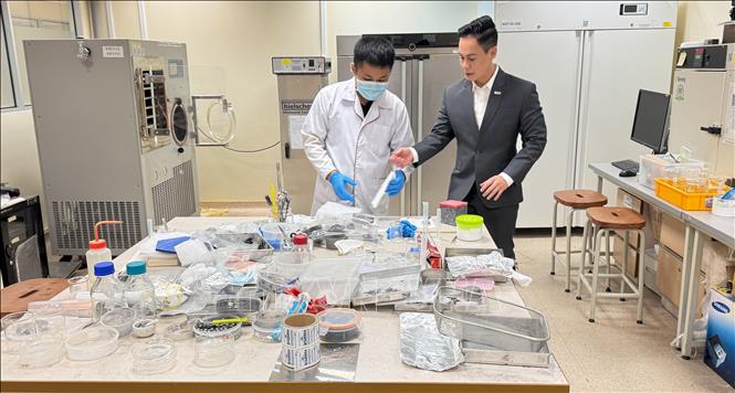 Phó Giáo sư, Tiến sỹ Dương Minh Hải, Đại học Quốc gia Singapore, giới thiệu một số vật liệu mới cho thực tập sinh Tiến sỹ. Ảnh: Ngọc Khương - PV TTXVN tại Singapore