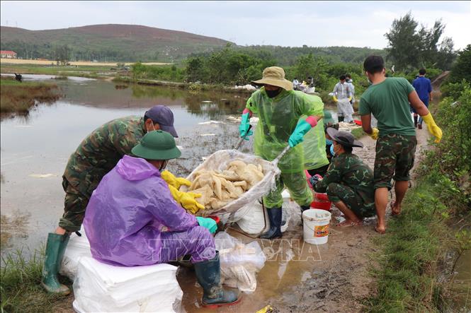 Lực lượng quân đội thu gom dầu tràn ra môi trường. Ảnh: Phạm Cường-TTXVN