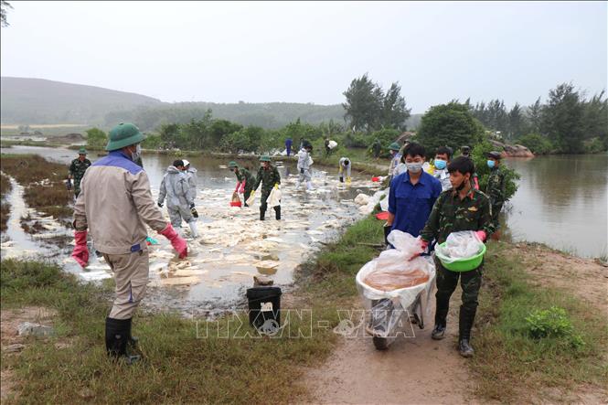 Lực lượng chức năng thu gom dầu tràn trên các đồng ruộng. Ảnh: Phạm Cường-TTXVN