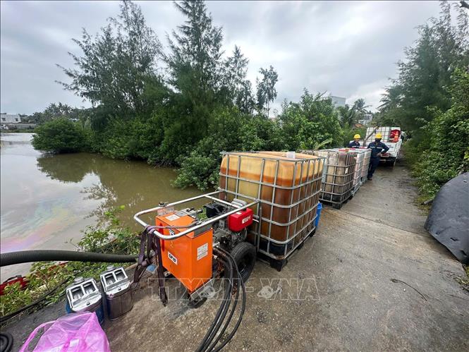Dầu được thu gom sau sự cố. Ảnh: Phạm Cường-TTXVN