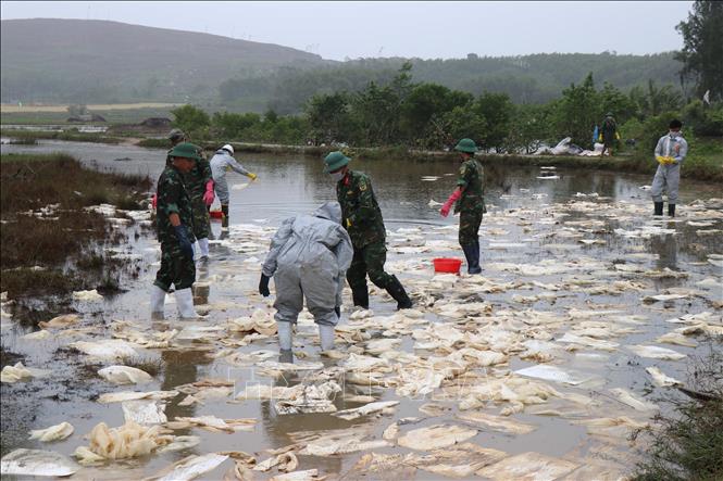 Váng dầu tràn ra ruộng sản xuất lúa của người dân xã Vạn Tường gây hiện tượng cá chết hàng loạt. Ảnh: Phạm Cường-TTXVN