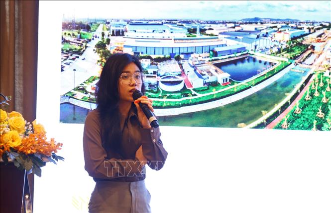 Chuyên gia về năng lượng tái tạo chia sẻ về quy hoạch năng lượng quốc gia tại hội thảo. Ảnh: Lê Xuân-TTXVN