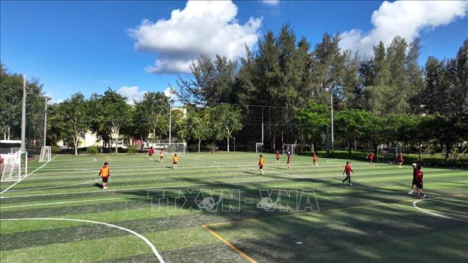 Khu thể thao ngoài trời Trường Đại học Trà Vinh (tỉnh Vĩnh Long) với nhiều cây xanh. Ảnh: TTXVN phát
