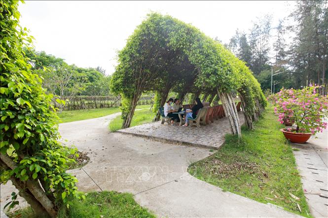 Khu vực dành cho sinh viên tự học trong khuôn viên Trường Đại học Trà Vinh (tỉnh Vĩnh Long) với nhiều cây xanh. Ảnh: TTXVN phát