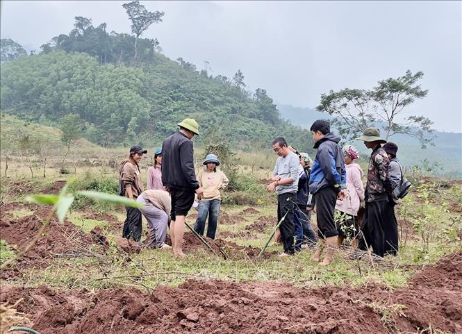 Dự án đã xây dựng và triển khai các chương trình hỗ trợ, các mô hình sinh kế phù hợp, tiếp sức cho phụ nữ địa bàn khó khăn tự tin làm chủ cuộc sống. Ảnh: TTXVN phát