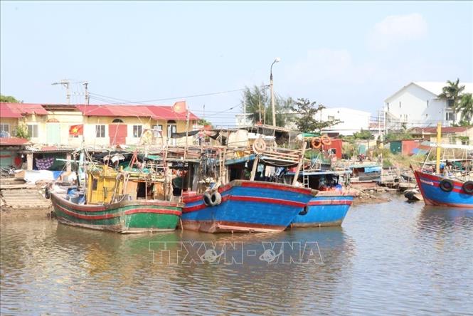 Hiện nay, tất cả các tàu cá của Hải Phòng được đăng ký và cấp giấy phép khai thác, được làm sạch dữ liệu, đối soát trên VnID và cập nhật lên hệ thống phần mềm quản lý nghề cá Quốc gia VN-Fishbase và lắp đặt thiết bị giám sát hành trình. Ảnh: Mạnh Minh - TTXVN