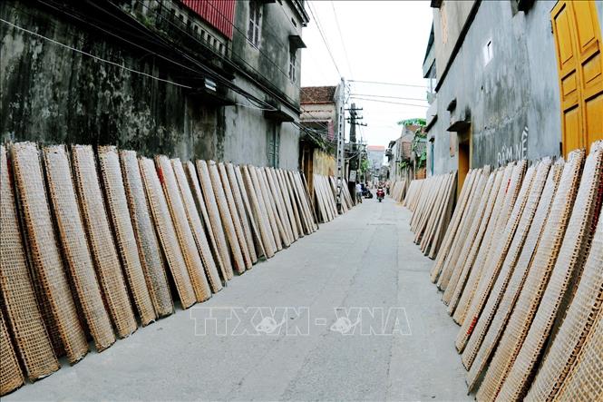 Bánh đa nem được phơi dọc đường làng. Ảnh: Việt Hùng – TTXVN

