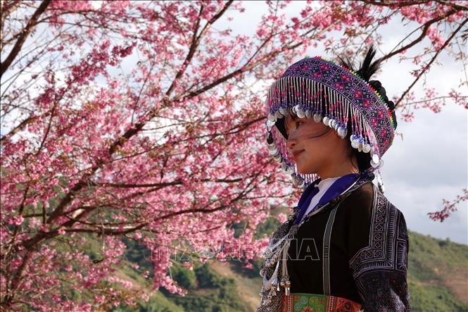 A visitor poses for a photo with To Day flowers. VNA Photo: Tuấn Anh
