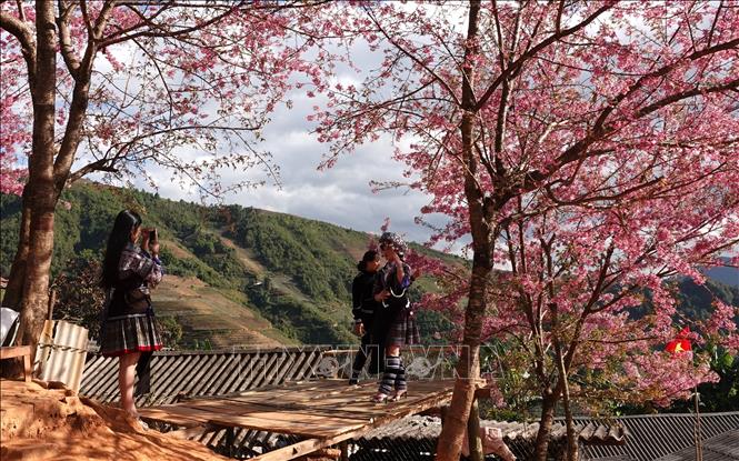 Visitors pose for photos with To Day flowers. VNA Photo: Tuấn Anh