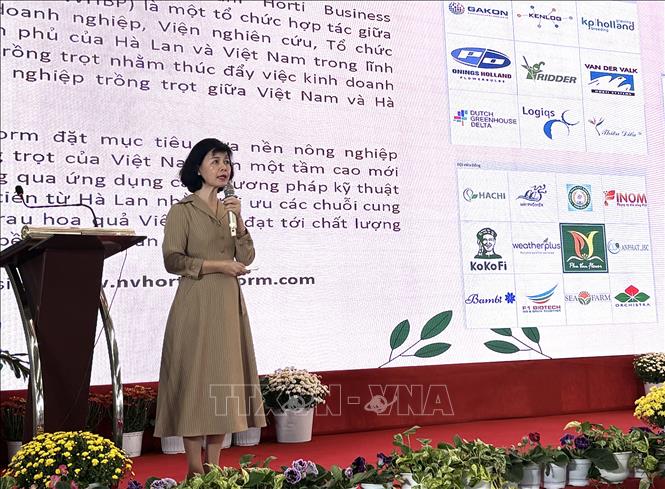 Bà Mai Thị Hồng - Hiệp hội Hợp tác kinh doanh Nông nghiệp Hà Lan trình bày các phương thức kết nối sản xuất và tiêu thụ sản phẩm nông nghiệp công nghệ cao. Ảnh: Hồng Nhung - TTXVN 