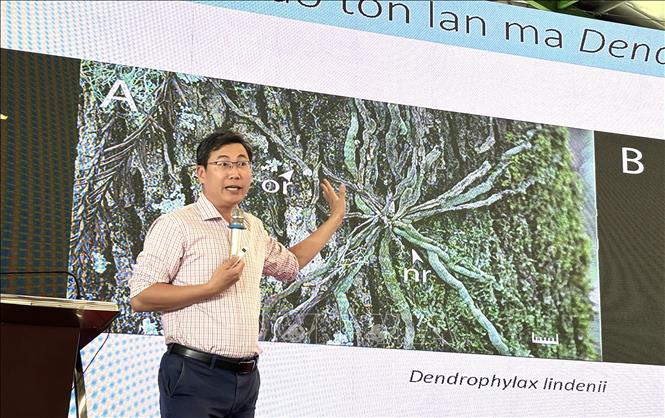 Tiến sĩ Nguyễn Hữu Hoàng - Trung tâm Nghiên cứu và ứng dụng Công nghệ cao trong Nông nghiệp - Trường Đại học Khoa học Tự nhiên thành phố Hồ Chí Minh trình bày công nghệ sản xuất hoa hồng. Ảnh: Hồng Nhung - TTXVN 