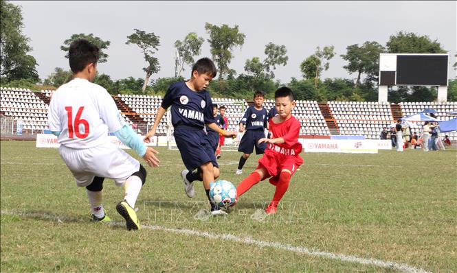 Các cầu thủ nhí thi đấu với tinh thần cống hiến. Ảnh: Hồng Thái - TTXVN
